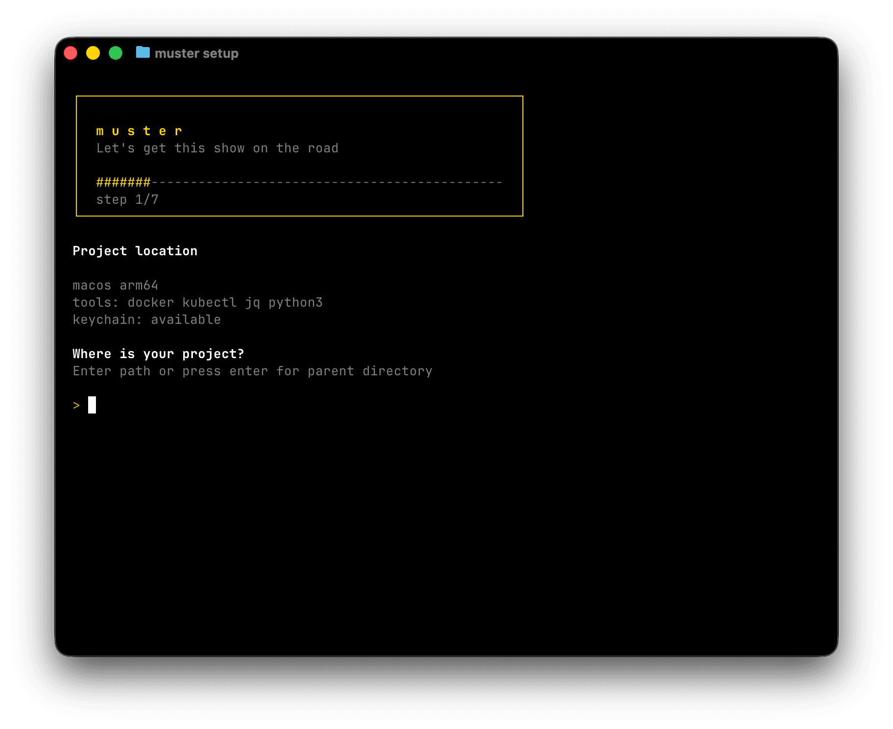 Muster setup wizard scanning a project